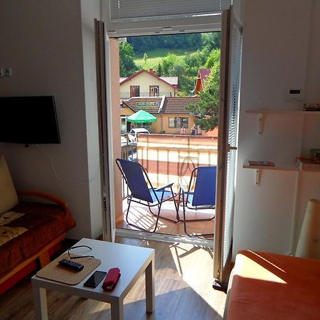 Apartament Kraszewskiego กรินีซา ดรอยจ์ ภายนอก รูปภาพ