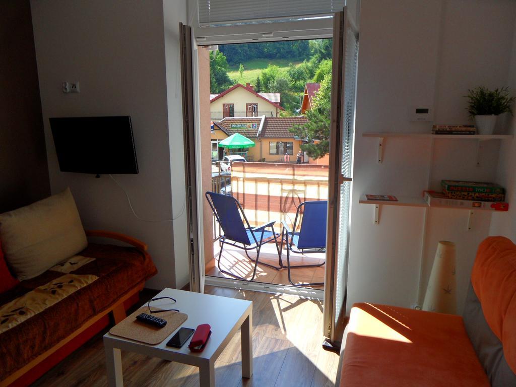 Apartament Kraszewskiego กรินีซา ดรอยจ์ ภายนอก รูปภาพ