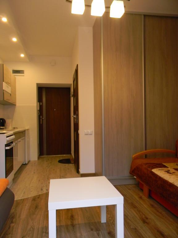 Apartament Kraszewskiego กรินีซา ดรอยจ์ ภายนอก รูปภาพ
